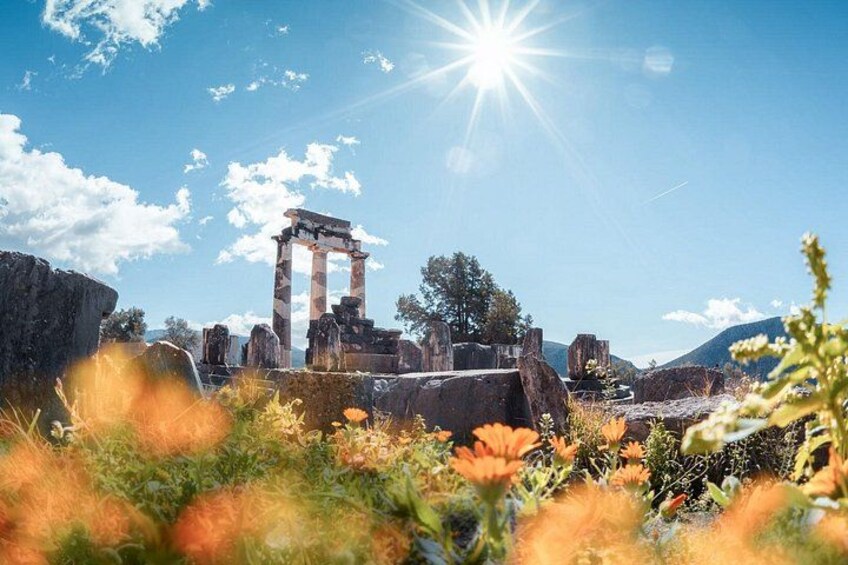 Ruinas antiguas con columnas, rodeadas de flores silvestres y un cielo azul despejado. 1