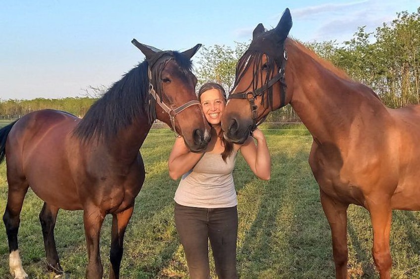 A person standing between two horses in a grassy field with trees in the background. 3