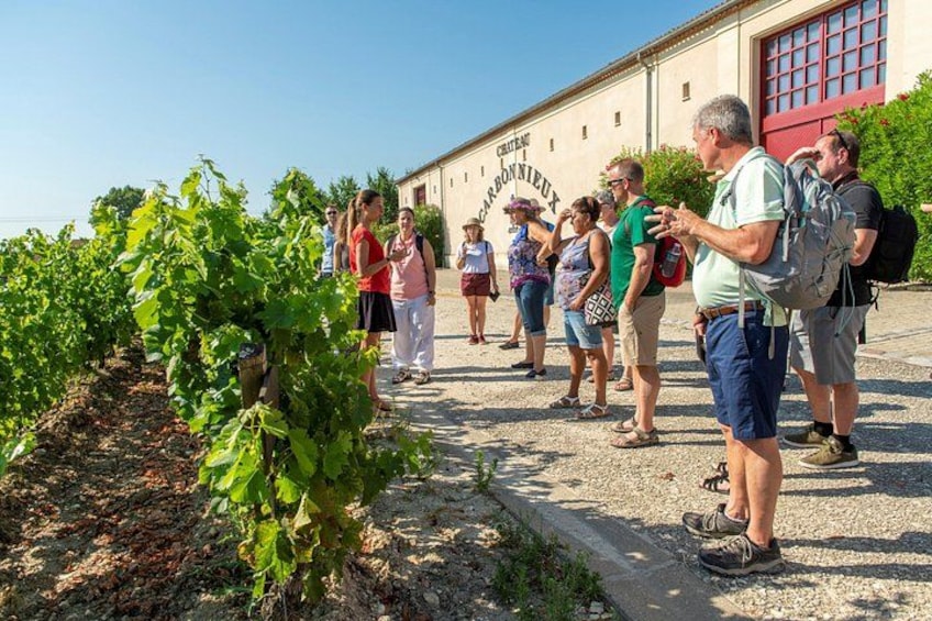 A group of people standing in a vineyard with a building in the background. 4