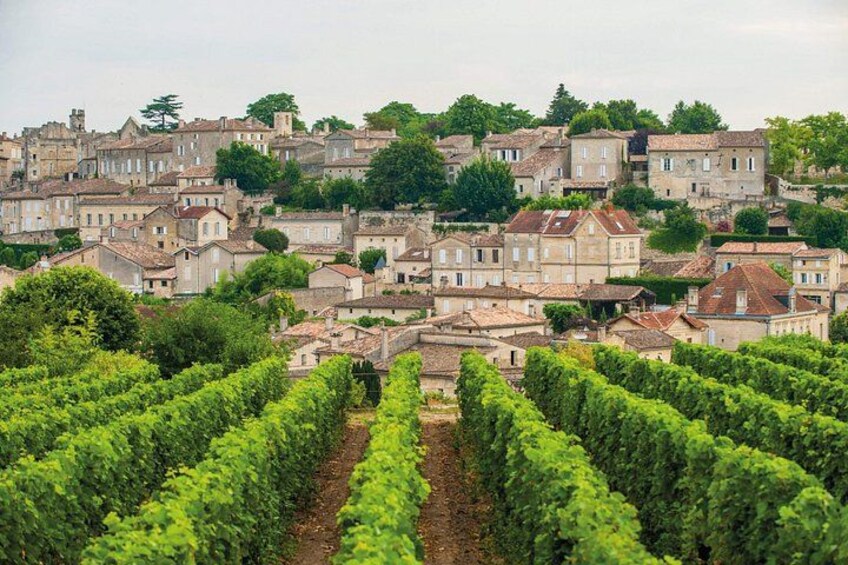 Full-day Saint-Emilion: Village, Undergrounds and Châteaux 3