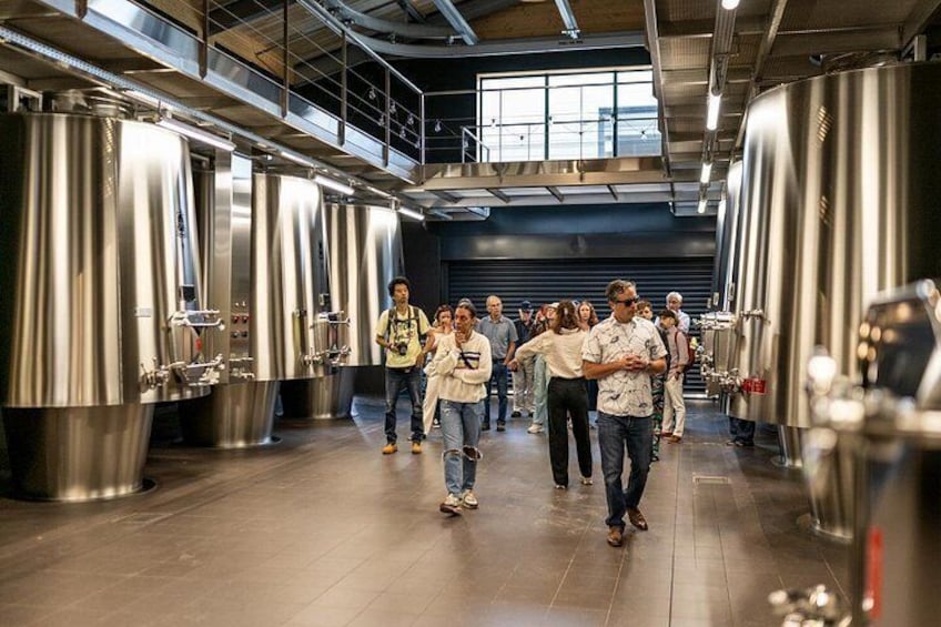 Full-day Saint-Emilion: Village, Undergrounds and Châteaux 5