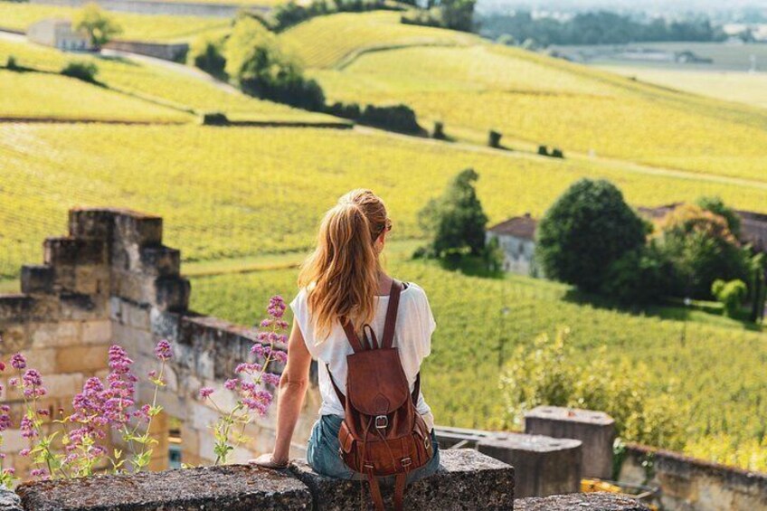 Full-day Saint-Emilion: Village, Undergrounds and Châteaux 2