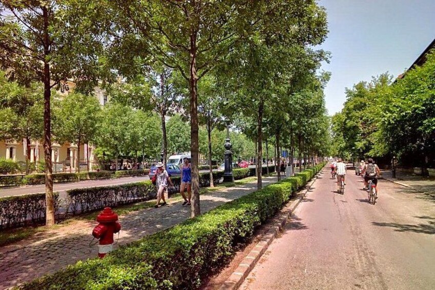 Riding along Andrássy Avenue 5