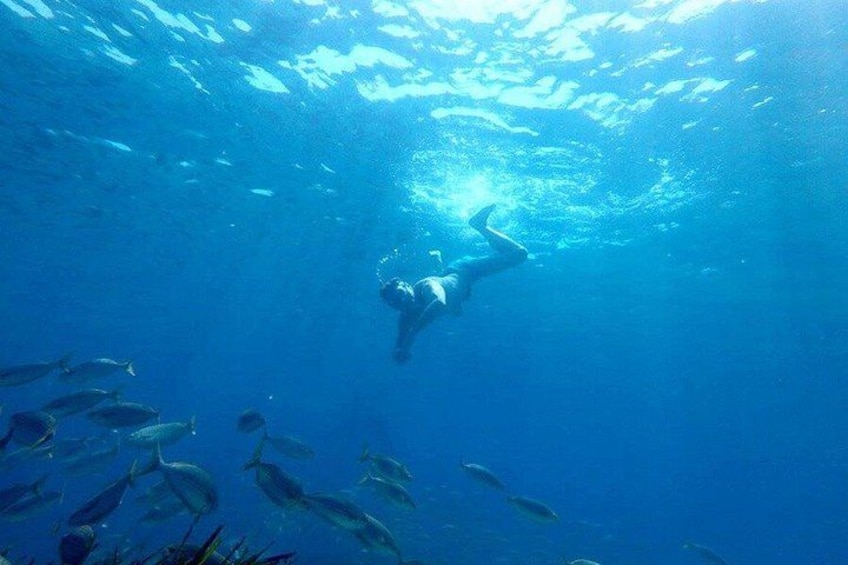 Costa Brava Tour: Easy Hike, Snorkel & Cliff Jump from Barcelona 4