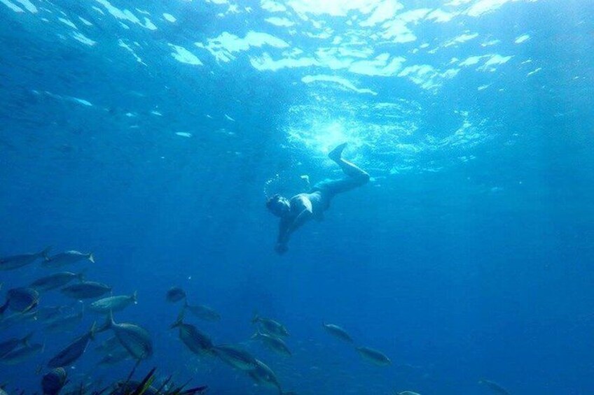 Costa Brava Tour: Easy Hike, Snorkel & Cliff Jump from Barcelona 4