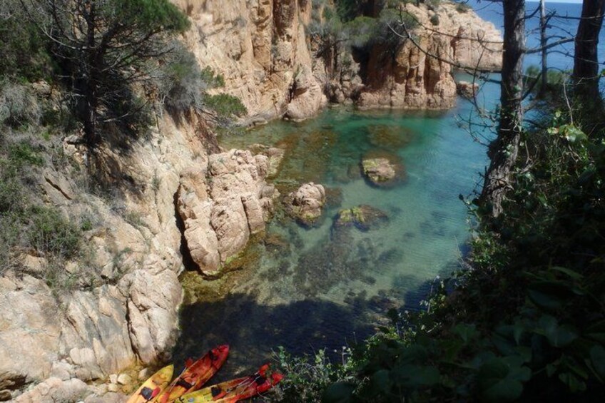 Costa Brava Tour: Easy Hike, Snorkel & Cliff Jump from Barcelona 3