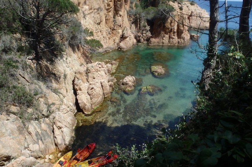 Costa Brava Tour: Easy Hike, Snorkel & Cliff Jump from Barcelona 3