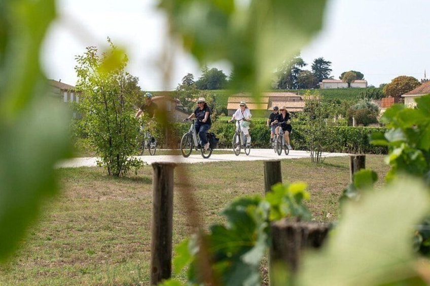 Saint-Emilion Small-Group Electric Bike Wine Tour Tastings & Lunch from Bordeaux 3