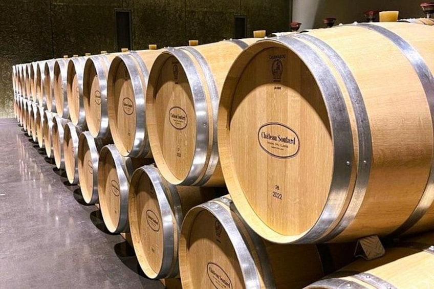 Bordeaux Full day Medoc and St Emilion 3 chateaux with Lunch 3
