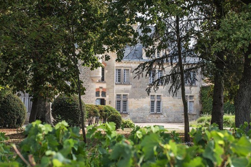 Ein historisches Steinhaus mit vielen Fenstern und einem Garten mit Bäumen und Sträuchern. 2
