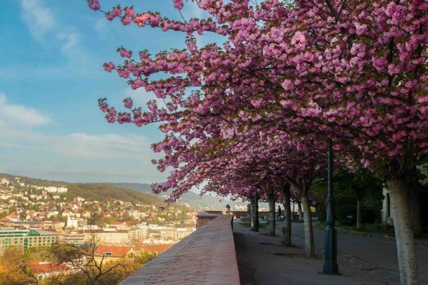 Buda Castle Quarter Walking Tour 4