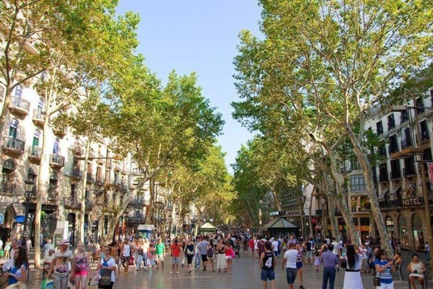 A bustling street lined with trees and buildings, including a hotel. 2