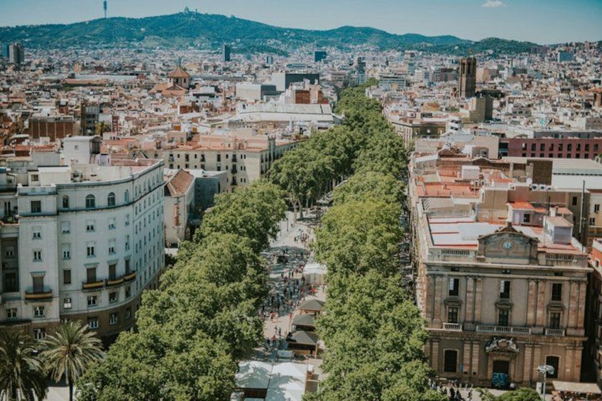 A cityscape with a tree-lined avenue, historic buildings, and a distant hill. 5