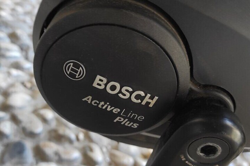 A close-up of a Bosch Active Line Plus device. 3