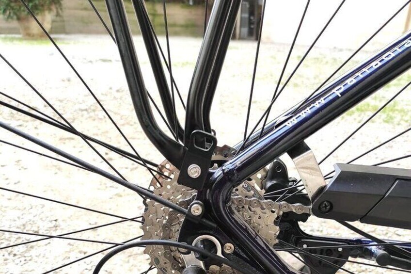 A bicycle's rear wheel, chain, and gear mechanism. 5