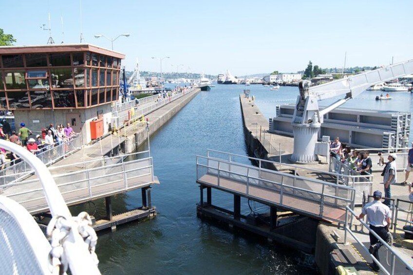 Ballard Locks 5