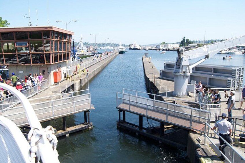 Ballard Locks 4