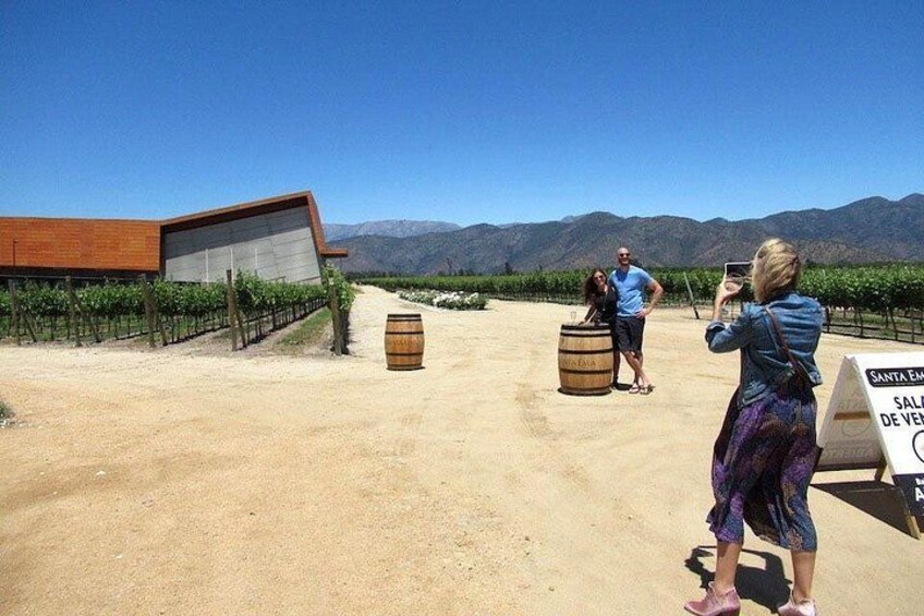 Santa Ema winery 5
