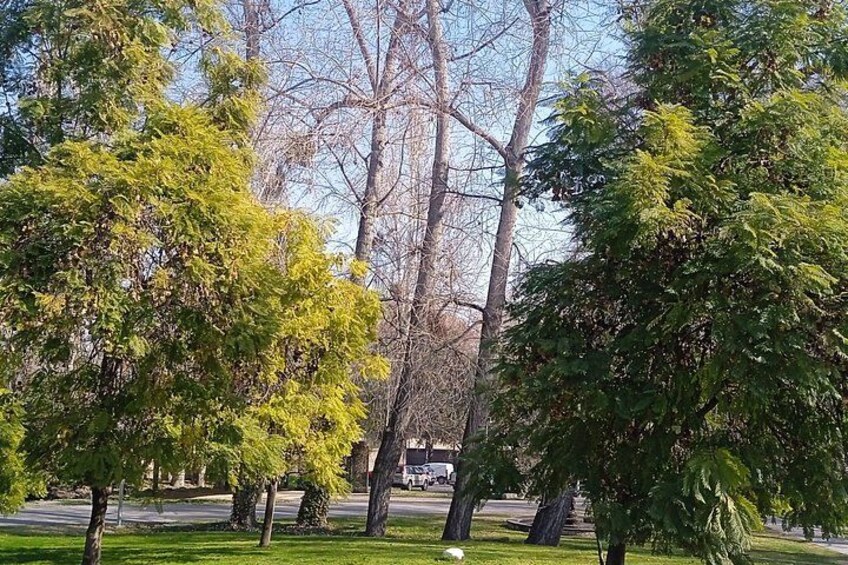 Cousiño Macul Vineyard - Maipo Valley - Premium Tasting - HD 4