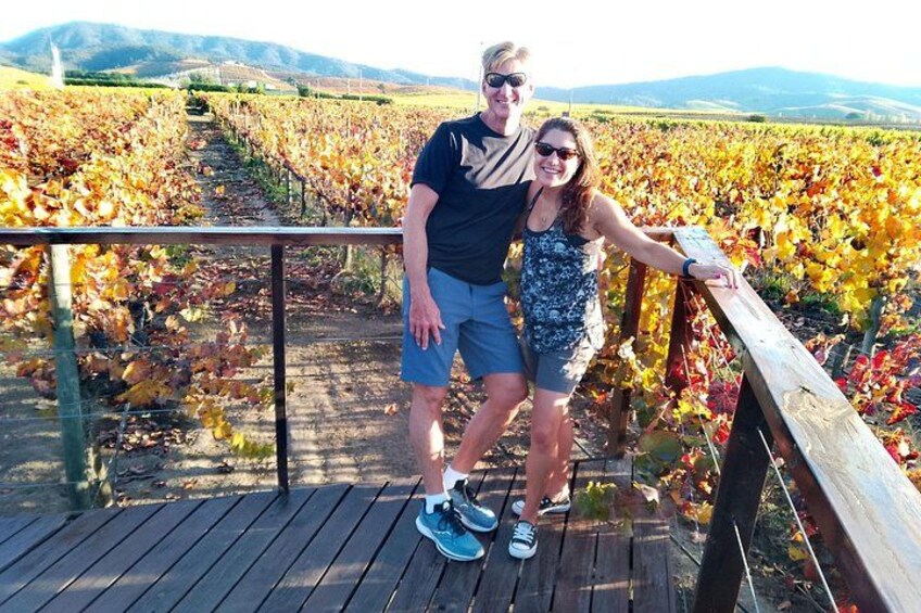 Casablanca Valley & Casa del Bosque - 3 Vineyards - Full day 3