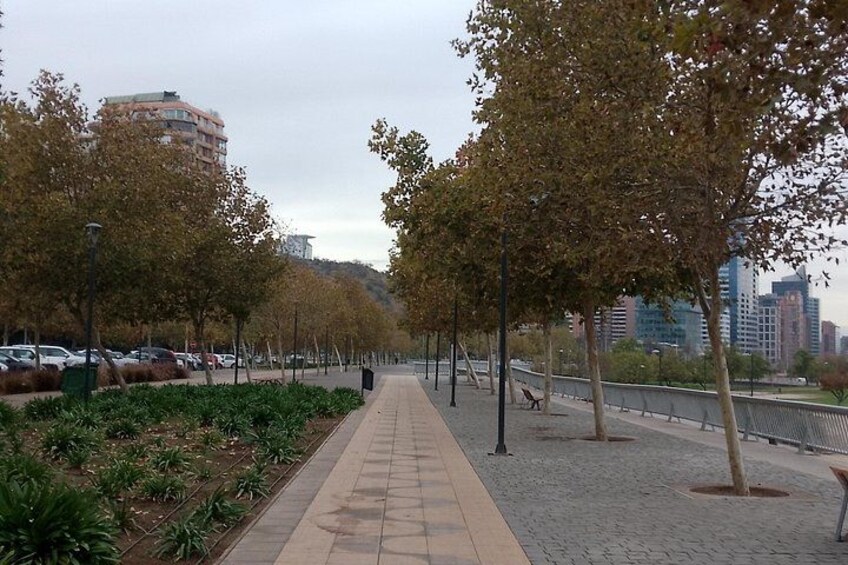Un sendero bordeado de árboles, con coches aparcados y edificios al fondo. 4