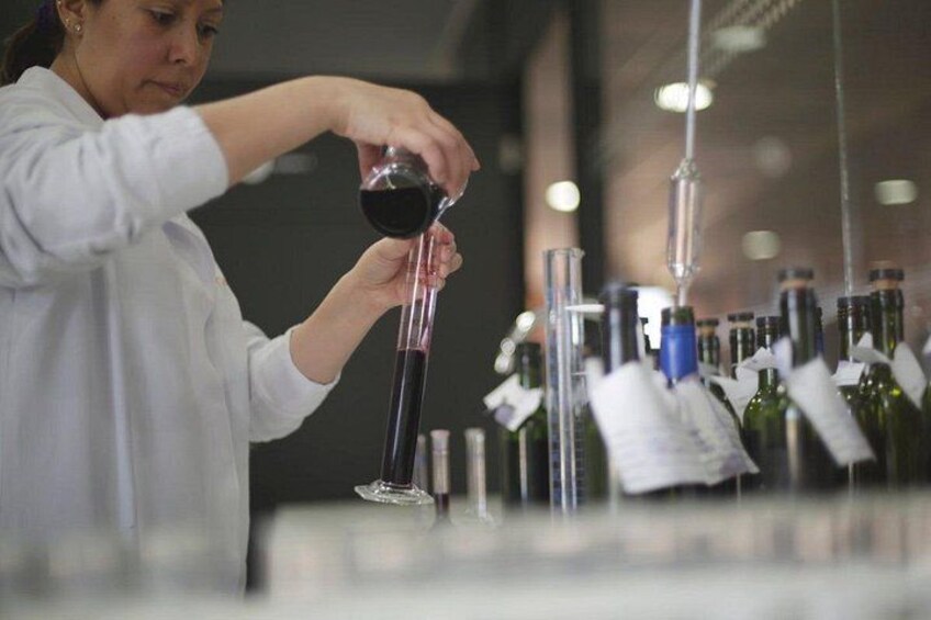 Private Colchagua Valley wine tour all inclusive from Santiago 4