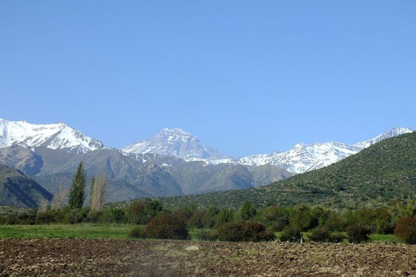 Eine gebirgige Landschaft mit schneebedeckten Gipfeln, wolkenlosem Himmel und dichter, grüner Vegetation im Vordergrund. 3