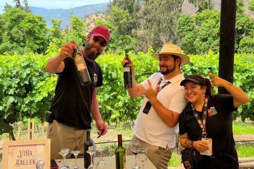 Maipo Valley Wine & Culinary Trail 3 Wineries Lunch Included 5