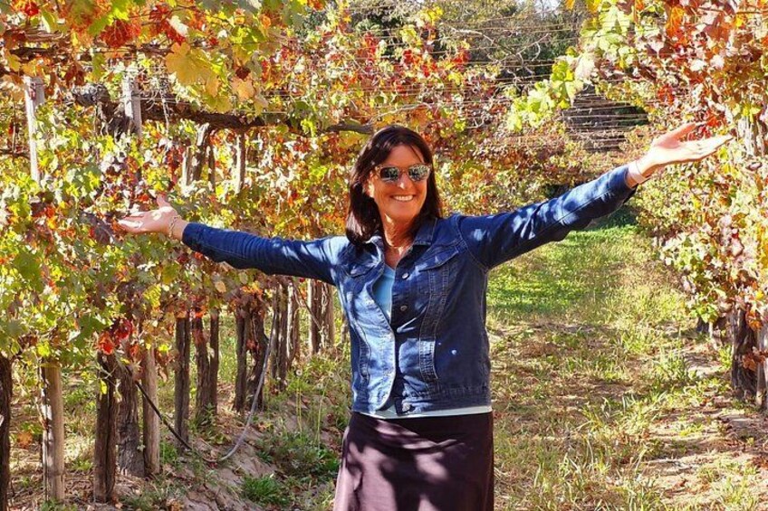 A person standing in a vineyard with arms outstretched, surrounded by grapevines and a fence. 2