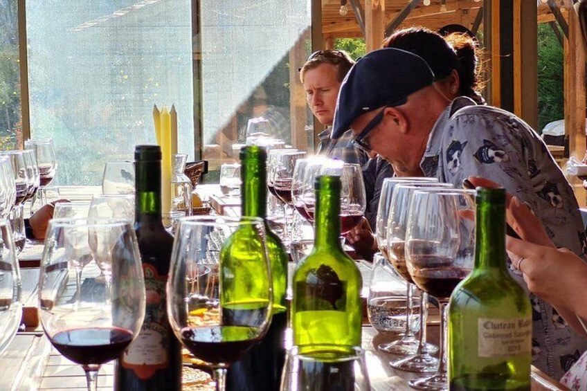 Wine & Culinary Trail in Maipo Valley Lunch experience Included 2