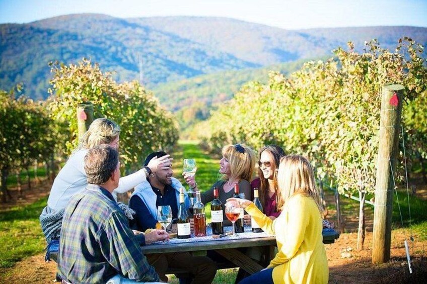 Maipo Valley Wine Tour 1