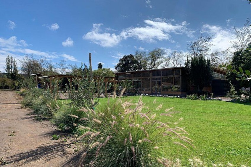 A modern house with a glass facade, surrounded by a well-maintained lawn and various plants. 5