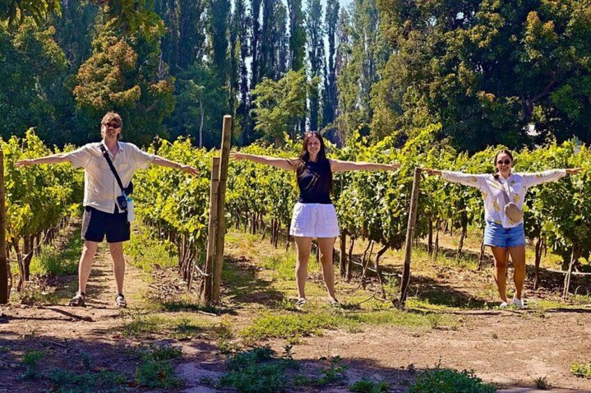 Maipo Valley Wine Tour with 4 vineyards from Santiago. 4