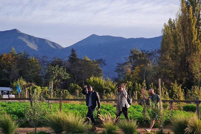 A group of people walking in a garden with mountains in the background. 4