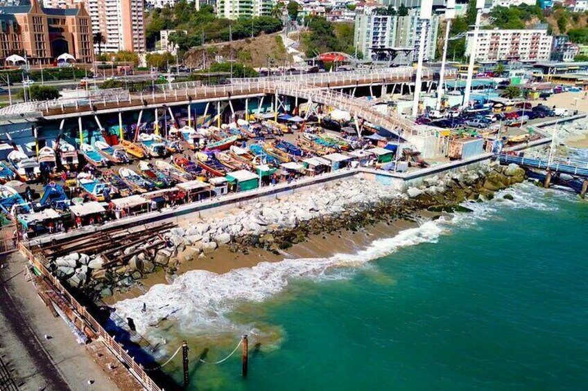 Valparaiso Port and Viña del Mar with Casablanca Wine Tasting 3