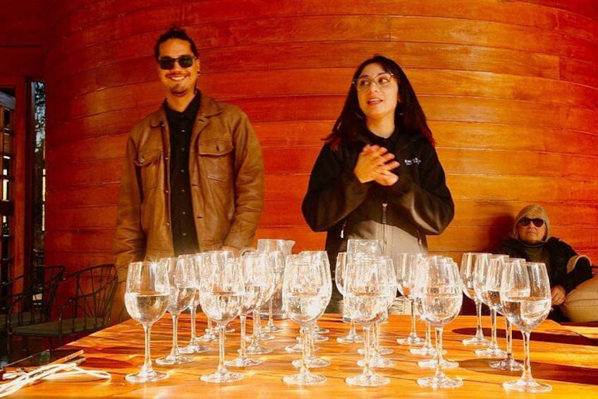 Valparaiso Port and Viña del Mar with Casablanca Wine Tasting 4