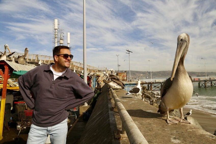 Valparaiso Port and Viña del Mar with Casablanca Wine Tasting 4