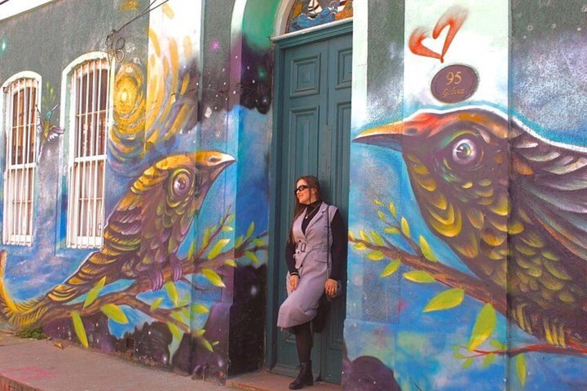 Valparaiso Port and Viña del Mar with Casablanca Wine Tasting 2