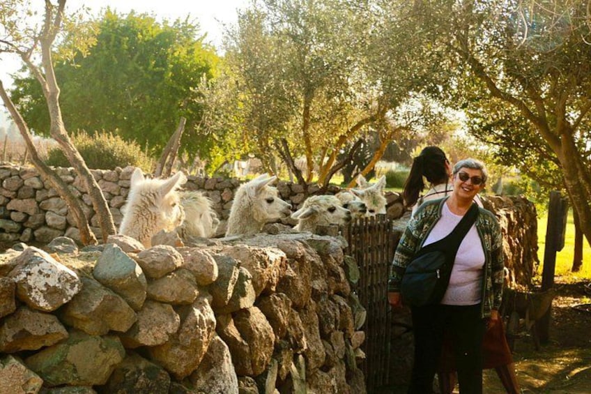 Un muro de piedra con llamas detrás, una persona de pie a la derecha y árboles al fondo. 2