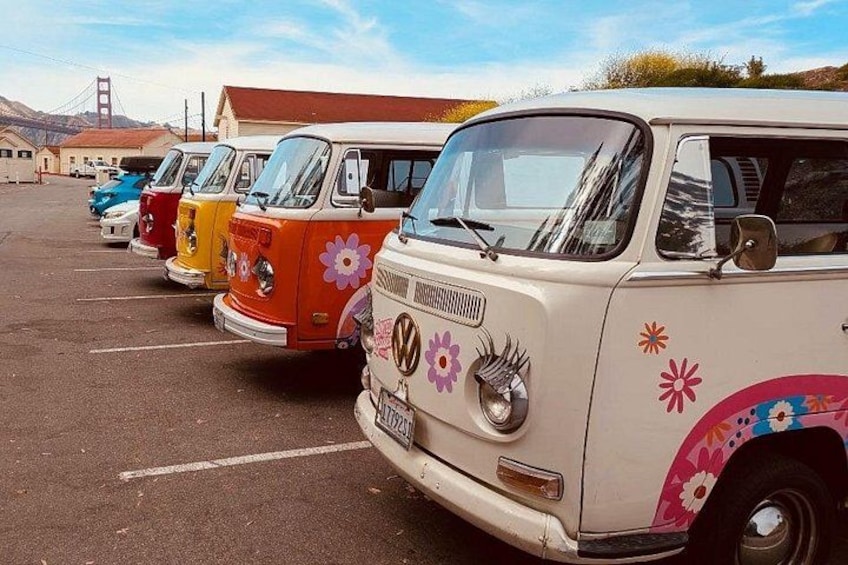 Une rangée de vieux combis Volkswagen, garés sur un parking et décorés d’autocollants aux motifs floraux colorés. 3