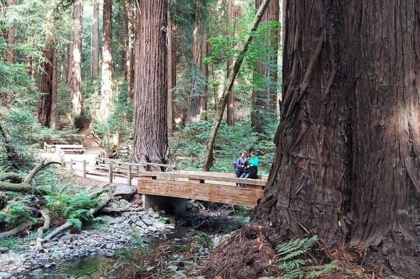 Muir Woods and Sausalito Small Group Tour 3