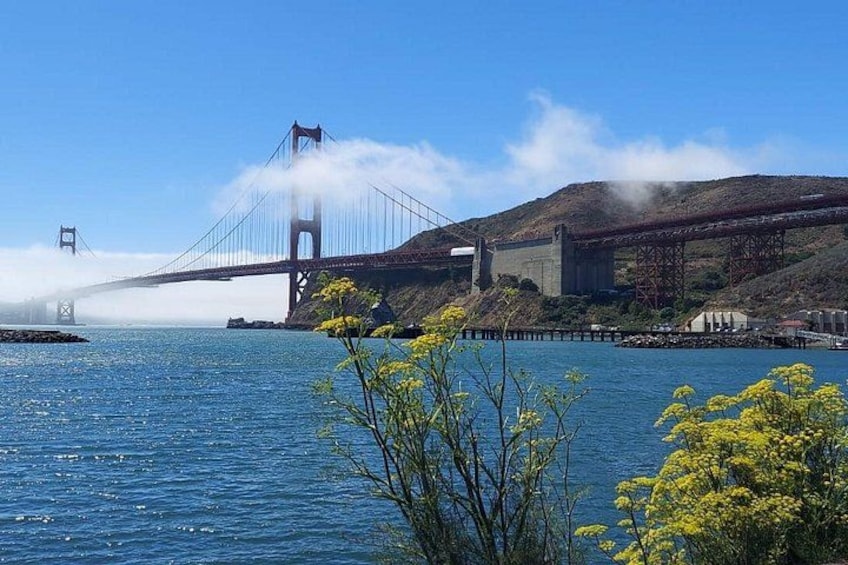 Muir Woods and Sausalito Small Group Tour 2