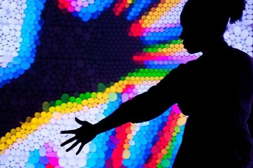 Experience 650+ interactive exhibits for visitors of all ages. 2