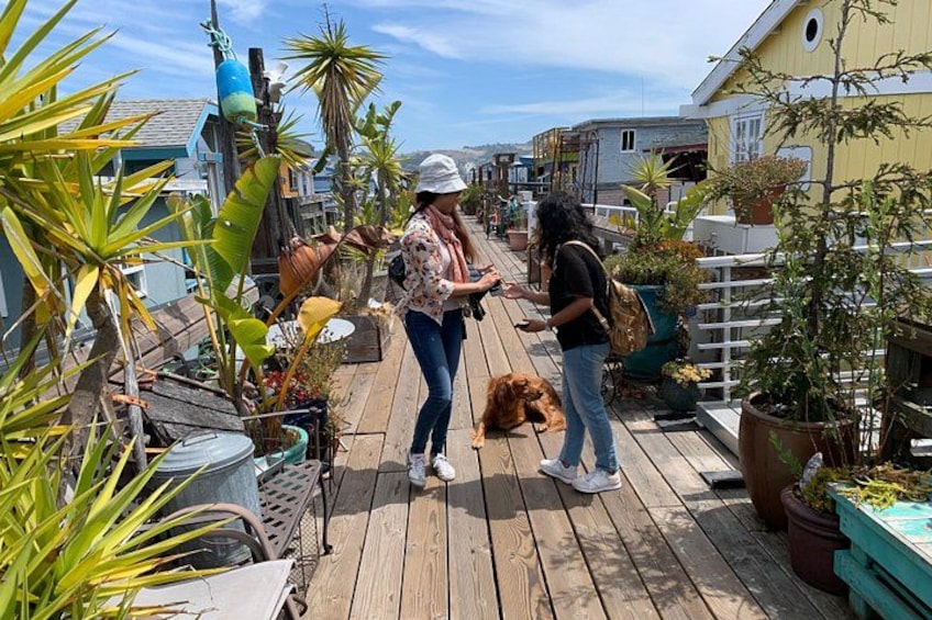 Une terrasse en bois agrémentée de plantes en pot, un chien et deux personnes qui discutent. 3