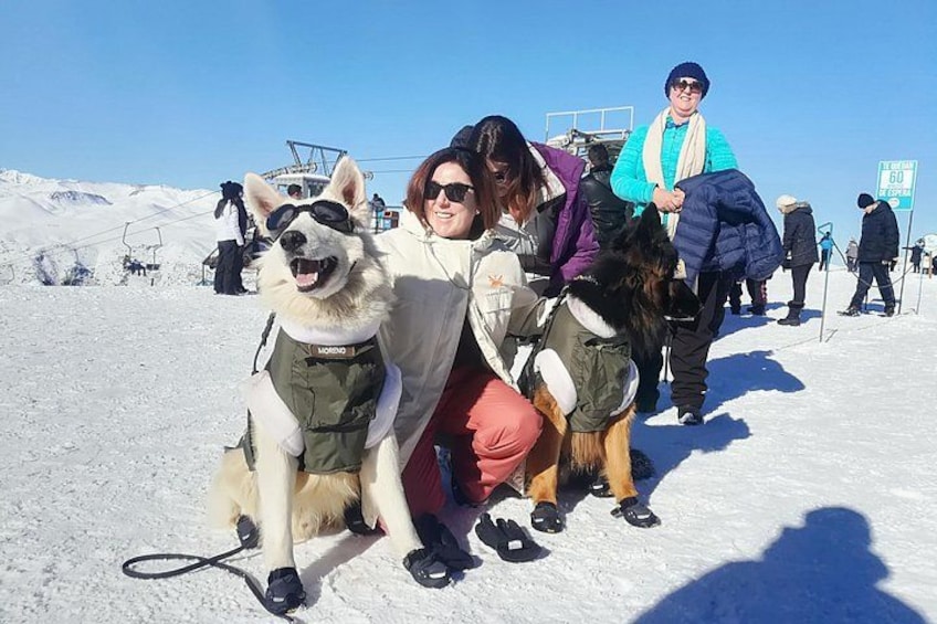 A snowy landscape with people and dogs. 3