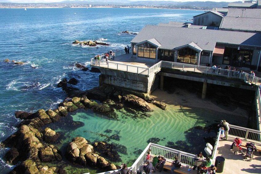 Monterey Bay 3