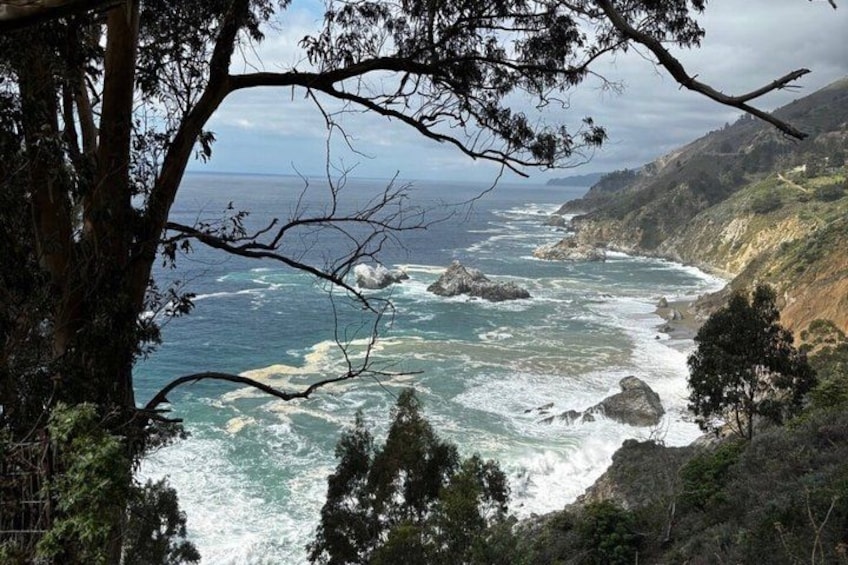 Big Sur Monterey California Coast from San Jose 1 - 12 people 5
