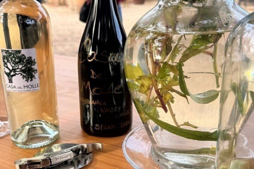 4 Exclusive & boutique wineries in Casablanca - Tanino Restaurant 2