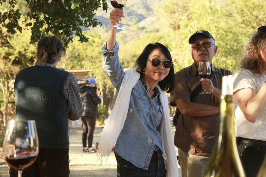 People holding wine glasses in an outdoor setting with trees and hills in the background. 4