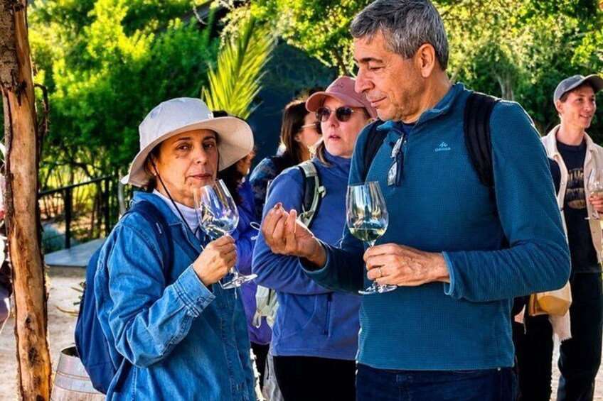 4 Exclusive & boutique wineries in Casablanca - Tanino Restaurant 3